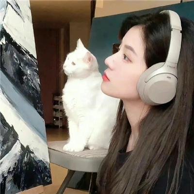 蓝色维也纳