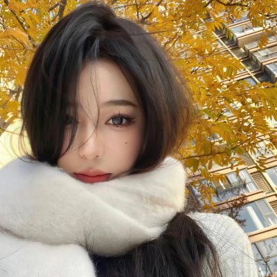 完美嫌疑人